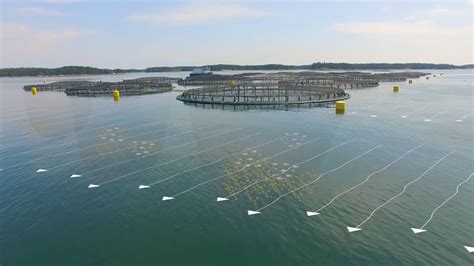 Rogue floating fishing farm reeled in on the North Shore